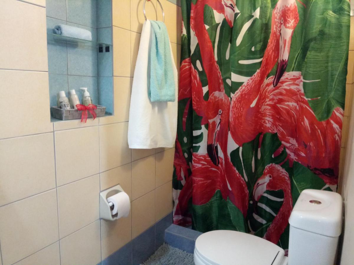 זקינטוס טאון Happy Owl Ground Floor Appartment מראה חיצוני תמונה
